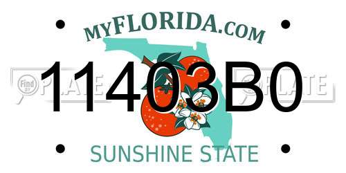 11403B0 Florida License Plate