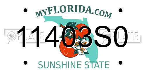 11403S0 Florida License Plate