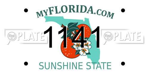 1141 Florida License Plate