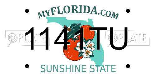 1141TU Florida License Plate