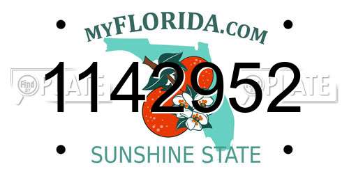 1142952 Florida License Plate