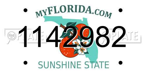 1142982 Florida License Plate