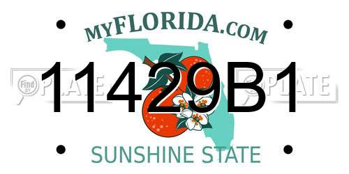 11429B1 Florida License Plate