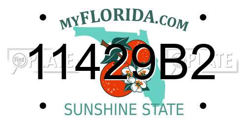 11429B2 Florida License Plate
