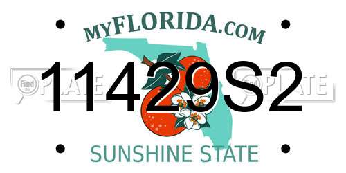 11429S2 Florida License Plate