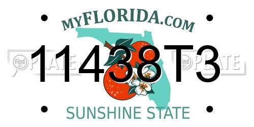 11438T3 Florida License Plate