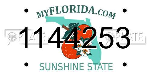 1144253 Florida License Plate