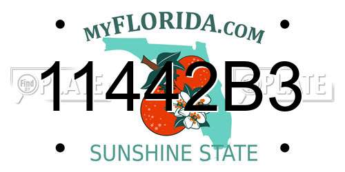11442B3 Florida License Plate