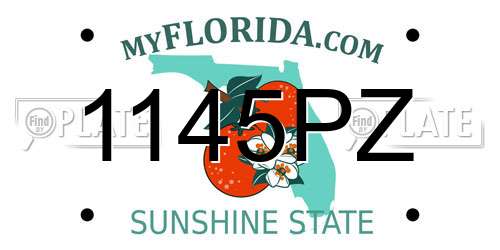 1145PZ Florida License Plate