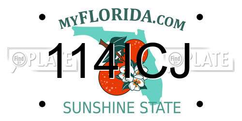 114ICJ Florida License Plate