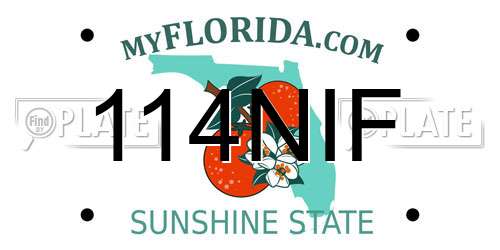 114NIF Florida License Plate