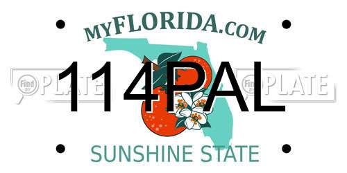 114PAL Florida License Plate