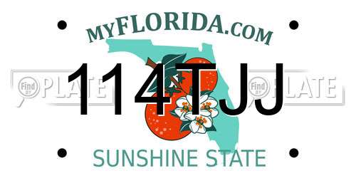 114TJJ Florida License Plate