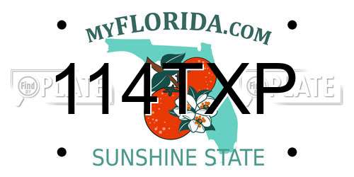 114TXP Florida License Plate