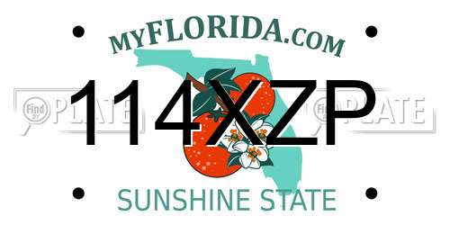 114XZP Florida License Plate