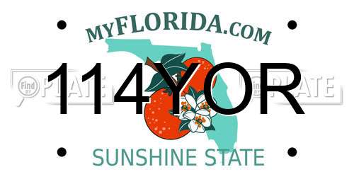 114YOR Florida License Plate