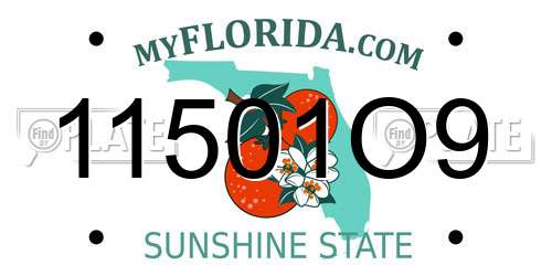 11501O9 Florida License Plate