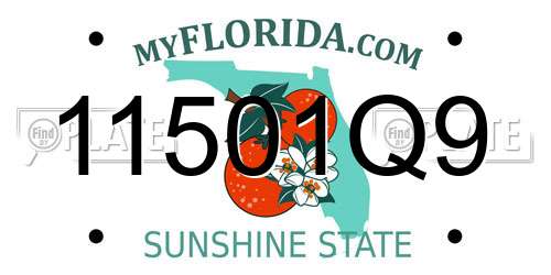 11501Q9 Florida License Plate