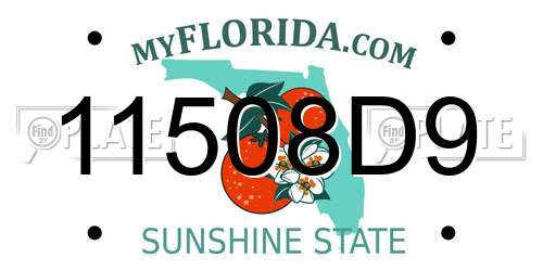 11508D9 Florida License Plate