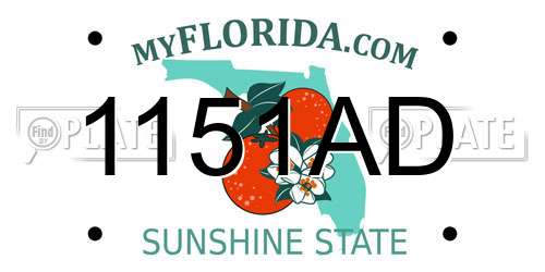 1151AD Florida License Plate