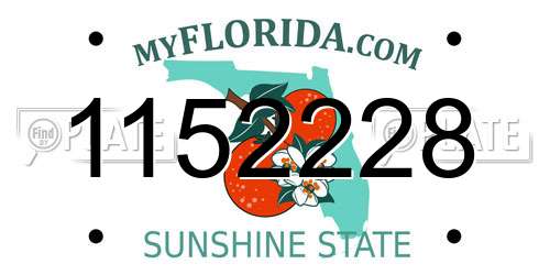 1152228 Florida License Plate