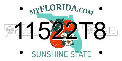 11522T8 Florida License Plate