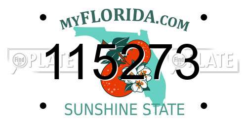 115273 Florida License Plate