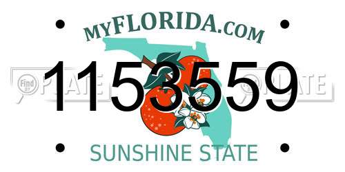1153559 Florida License Plate