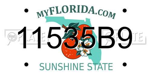 11535B9 Florida License Plate