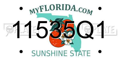 11535Q1 Florida License Plate