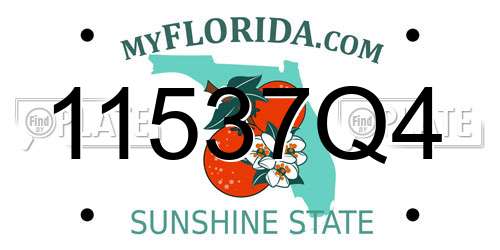 11537Q4 Florida License Plate