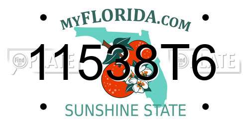 11538T6 Florida License Plate