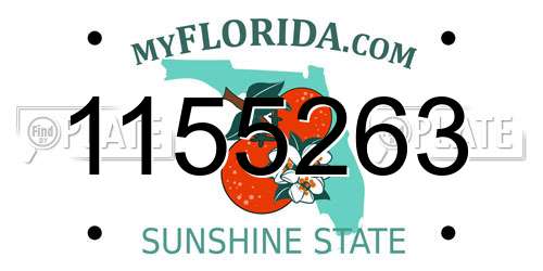 1155263 Florida License Plate
