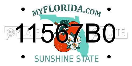 11567B0 Florida License Plate