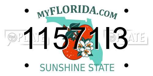 11571I3 Florida License Plate