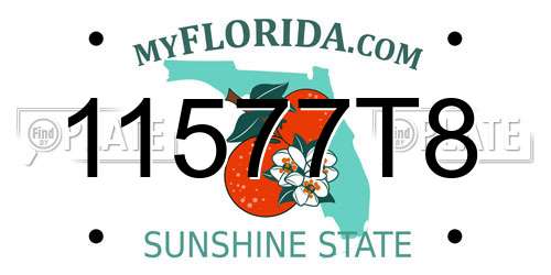 11577T8 Florida License Plate
