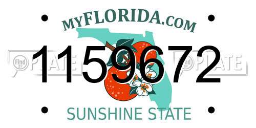 1159672 Florida License Plate