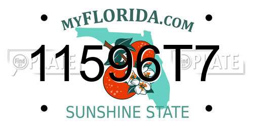 11596T7 Florida License Plate