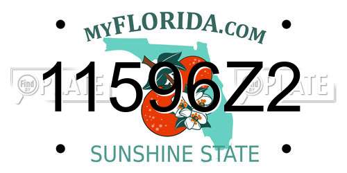11596Z2 Florida License Plate