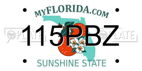 115PBZ Florida License Plate