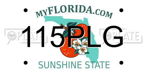 115PLG Florida License Plate