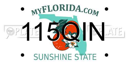 115QIN Florida License Plate