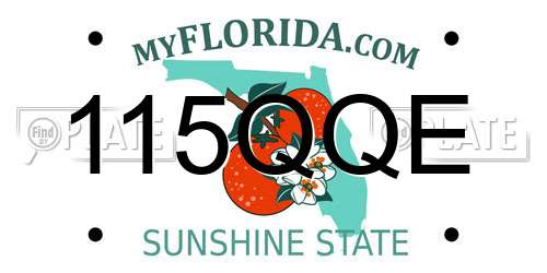 115QQE Florida License Plate