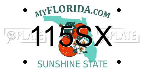 115SX Florida License Plate