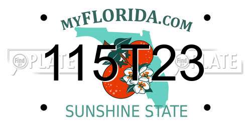115T23 Florida License Plate
