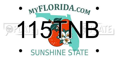 115TNB Florida License Plate