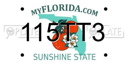 115TT3 Florida License Plate