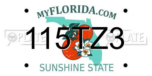 115TZ3 Florida License Plate