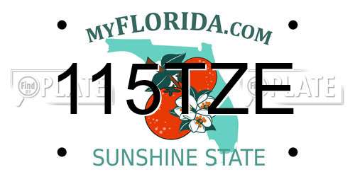 115TZE Florida License Plate