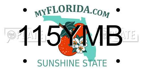 115YMB Florida License Plate